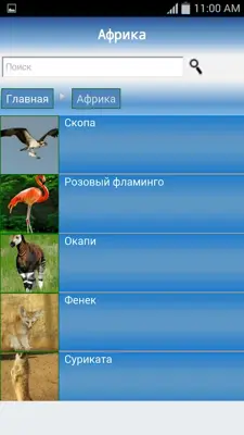 Энциклопедия Животных android App screenshot 2